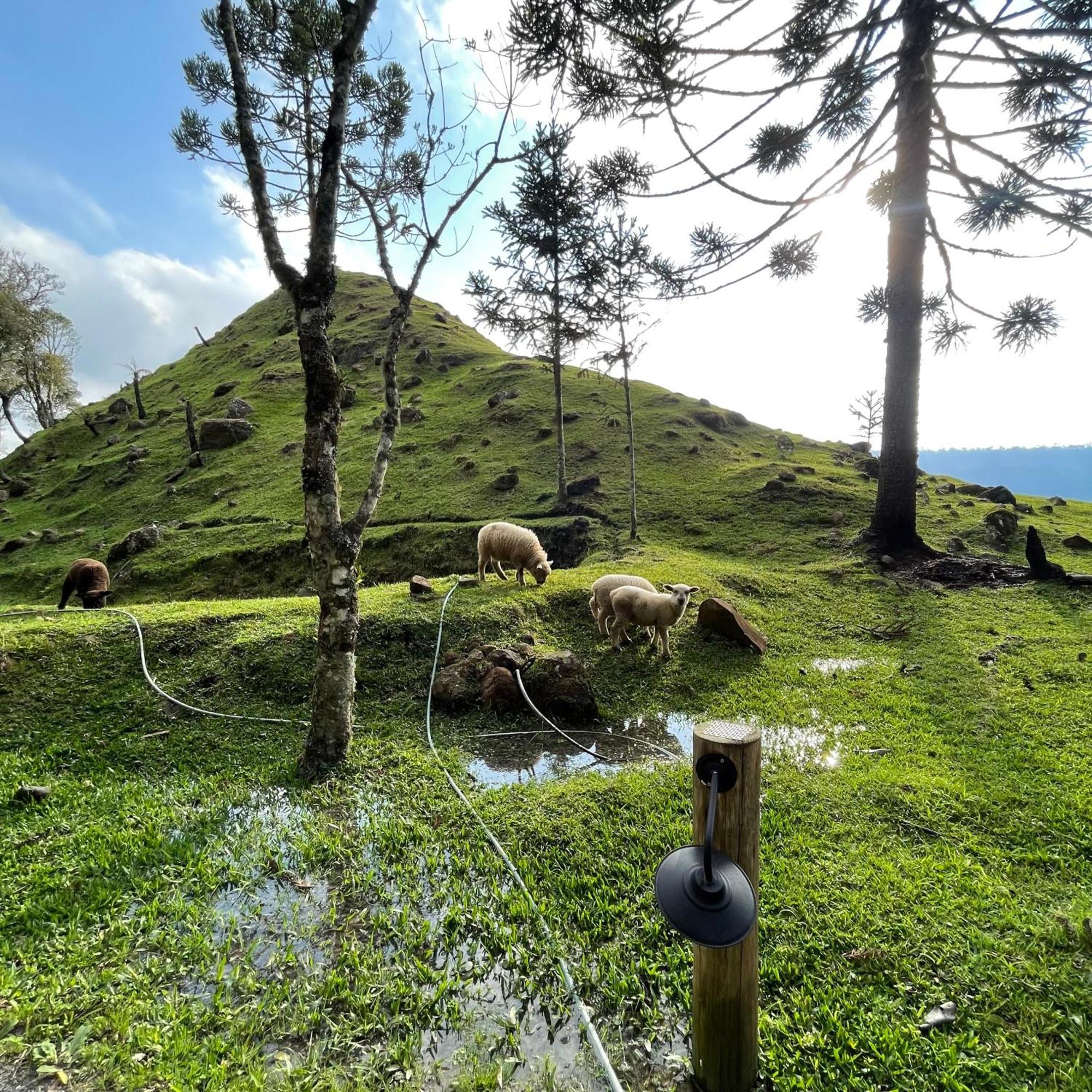 Colina Dos Ventos - Monte! Alojamento de Turismo Selvagem
